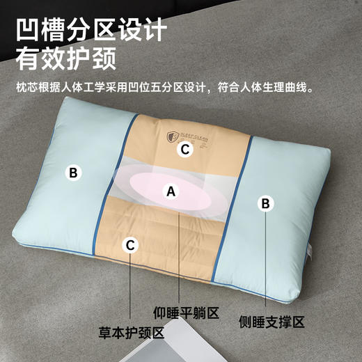 全棉三防决明子安睡枕 商品图3