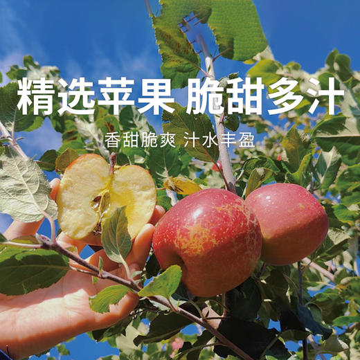【大凉山丑苹果】 冰糖心爆甜 原滋原味 天然健康水果 5-8斤装 商品图0