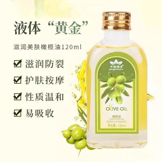 千秋明月120ML小瓶橄榄精华油脸部身体按摩油护肤美容院专用批发 商品图1
