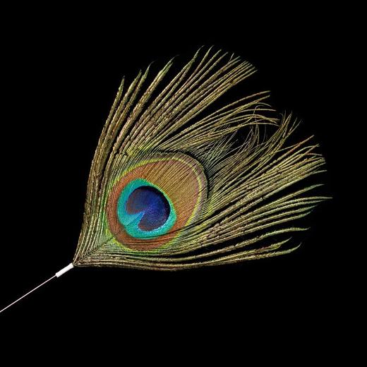 采耳工具打耳朵耳毛毛单件银针孔雀羽毛掏挖耳音叉套装专业耳毛棒 商品图2