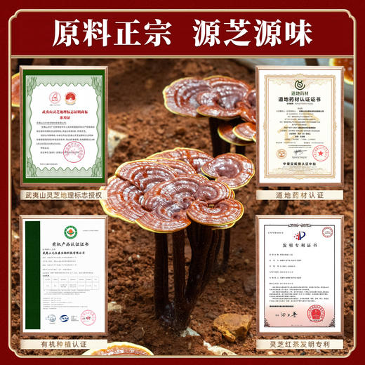 元生泰 灵芝红茶3.6g*10袋/盒 灵芝袋泡茶包 武夷灵芝正山小种红茶 科学配比 商品图5