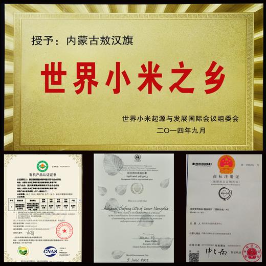 疯抢中！！现磨现发【世界小米之乡·敖汉有机地标小米】色泽晶莹剔透 颗粒饱满 营养丰富 2.5kg/手提袋包装 商品图1