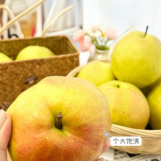 【玉露香梨】圆润饱满 皮薄肉脆 汁多渣少 清甜的“西域甘露” 六枚（5-6斤装） 商品图3