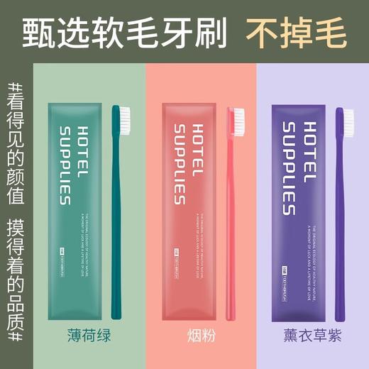一次性牙刷带牙膏高档酒店民宿专用软毛牙具洗漱家用待客独立包装 商品图0
