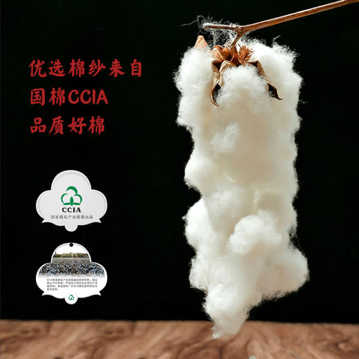 男女同款T恤【婴儿肌肤般触感  秒吸水 透气舒爽】百年上纺拾柒棉 桃蕾棉T恤 比毛巾还吸水 不透肉 不垮塌 衣领加固工艺 百搭有型 商品图11