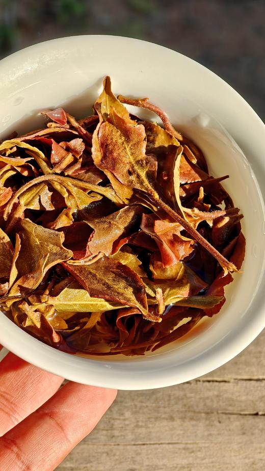 【荒野白茶王】2023年荒野云南白茶一口便知荒野茶的气韵，鲜爽甘甜，100克/罐 商品图4