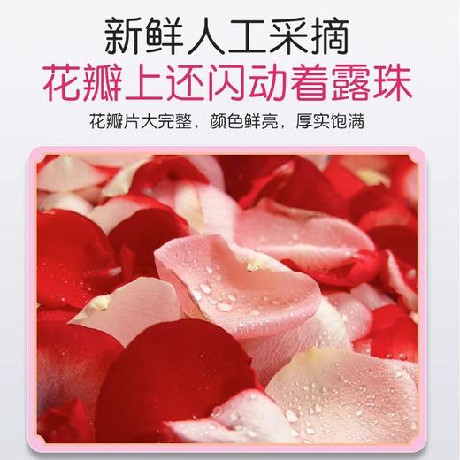 云南玫瑰干花瓣泡澡干花瓣泡脚足浴温泉牛奶泡泡浴专用真花瓣 商品图3