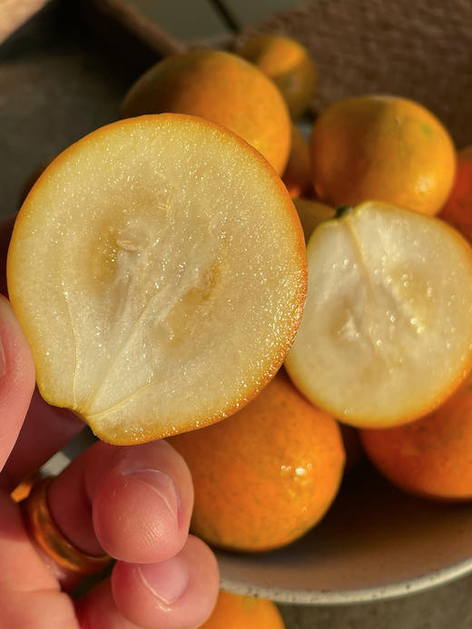 脆蜜金柑丨今年气候原因，果皮略厚，纯甜无酸，果皮硬脆带桔香，果肉细腻化渣，带皮吃无辛辣味⭐️顺丰/京东 商品图3