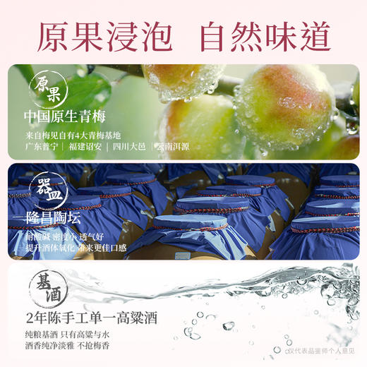 【新品】梅见杨梅青梅酒330ml*2瓶 商品图5