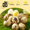 【双重无抗认证 古法老汤慢卤 Q弹一口一个】宝宝卟卟无抗生素鹌鹑蛋（120g/袋，约15颗）免费试吃一袋，不好吃支持全额退货退款！ 商品缩略图3