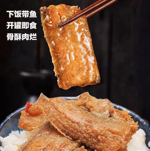 大连壮元海 带鱼罐头 商品图0