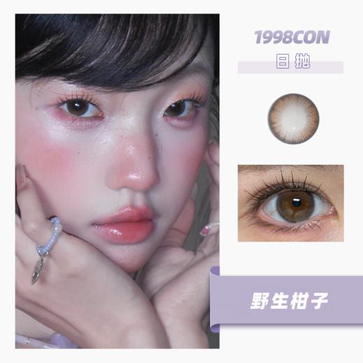 野生柑子（日抛型） 商品图0