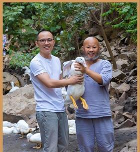 【元商欢乐购】罗大胡子熏味鸭货鸭翅超值团购套餐