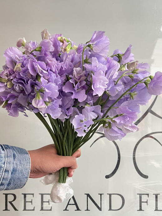 国产花材-【豌豆花】浅紫色 商品图2