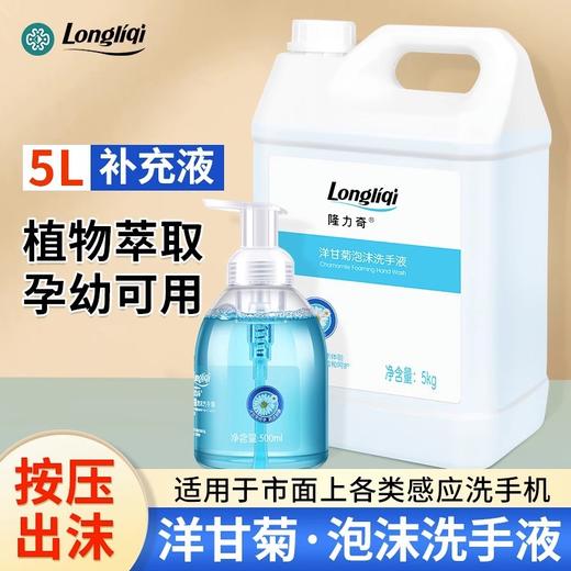 隆力奇洋甘菊洗手液泡沫型按压瓶装家用儿童幼儿园专用清洁补充装 商品图0