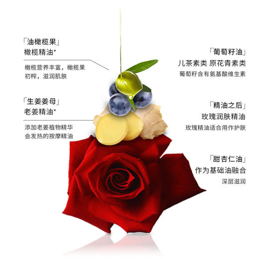 大瓶面部刮痧开背按摩玫瑰精油美容院身体推拿按摩油源头工厂批发 商品图2