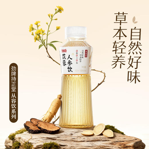 【新品】劲牌持正堂苁蓉人参饮450ml 商品图1