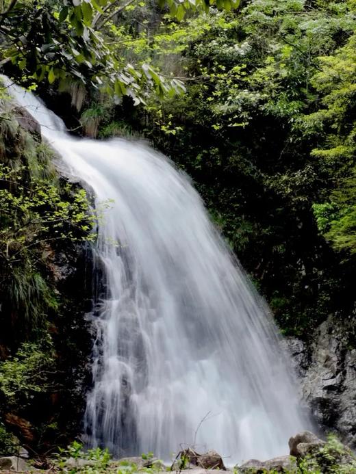 【已成团】行走自然: 黄山保护区探索团 4月团招募 四天三晚 （12人满团，4月10日截团） 商品图3