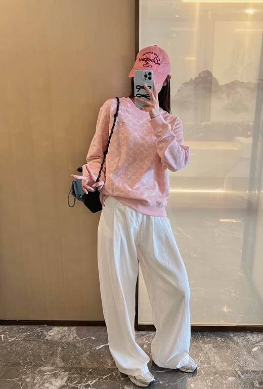 蔻家粉色满印小恐龙卫衣刺绣提花卫衣 商品图1