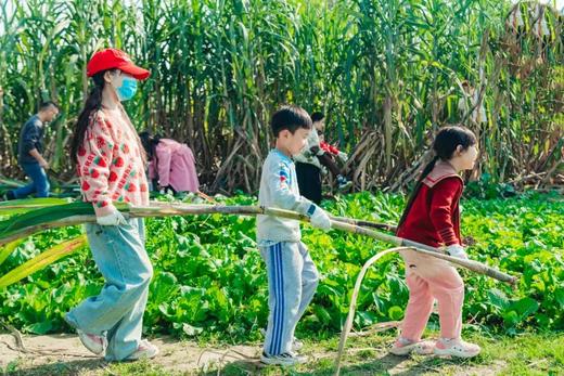 12.20（六）❗️ 【双流黄水镇·冬至快乐】 挤羊奶、搬甘蔗、榨甘蔗汁、画糖画、烤羊奶面包、烤铁盒爆米花、趣味赶鸭 商品图0