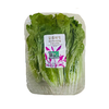 高山有机罗马生菜（约250g) 商品缩略图0