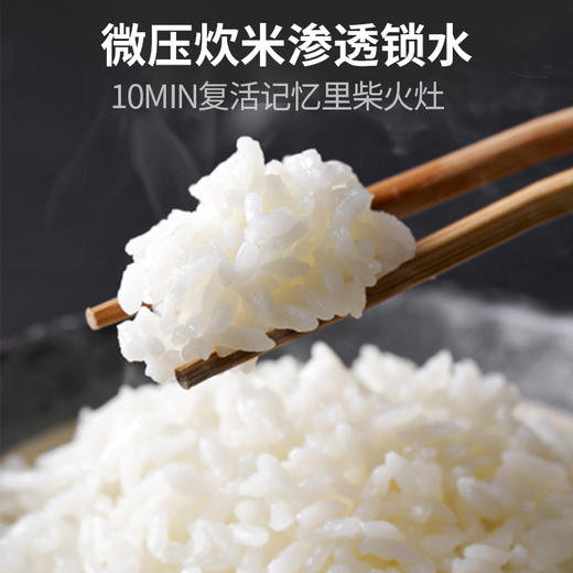 【压力煮饭更Q弹更香甜】大宇变压瞬沸电压力锅DY-YLG07 煮饭焖炖二合一 10min保压速煮饭 双向翻滚加热 6大菜单 珐琅油内胆 5L大容量能煮20碗饭 商品图6