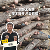 生态段木香菇 | 合作生产*Ecological Fresh Shiitake (Log-Cultivated) | Partner Production 商品缩略图0