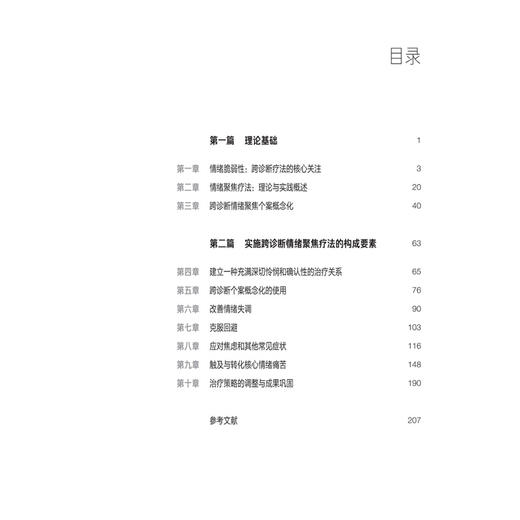 跨诊断情绪聚焦疗法：转化情绪痛苦的临床指南 朱元宸 赵菲 黄家琳 主译 心理治疗师 心理咨询师 精神科医生等上海科学技术出版社 商品图3