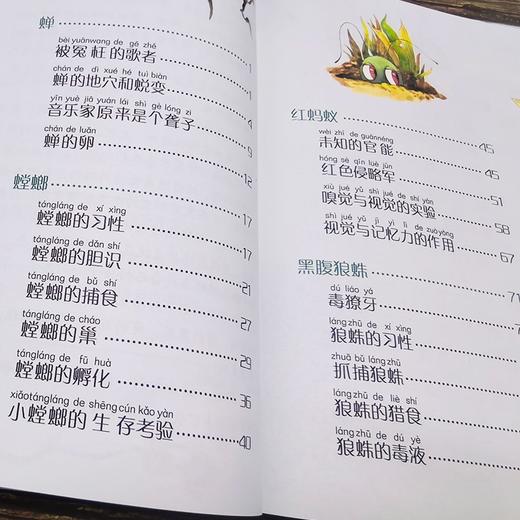 少儿读经典--法布尔昆虫记（注音版） 商品图3