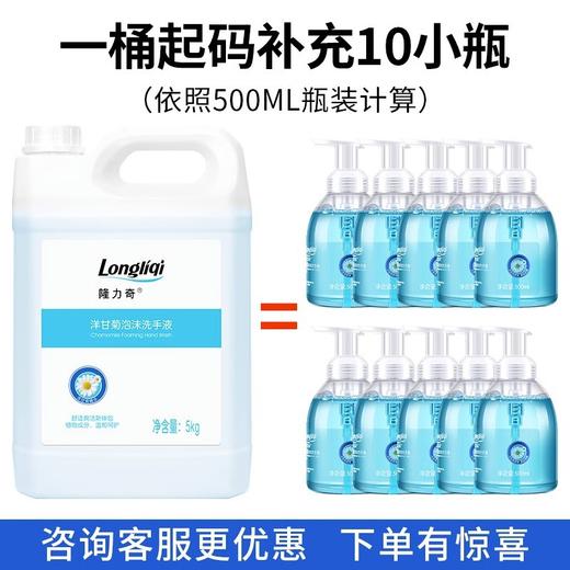 隆力奇洋甘菊洗手液泡沫型按压瓶装家用儿童幼儿园专用清洁补充装 商品图3