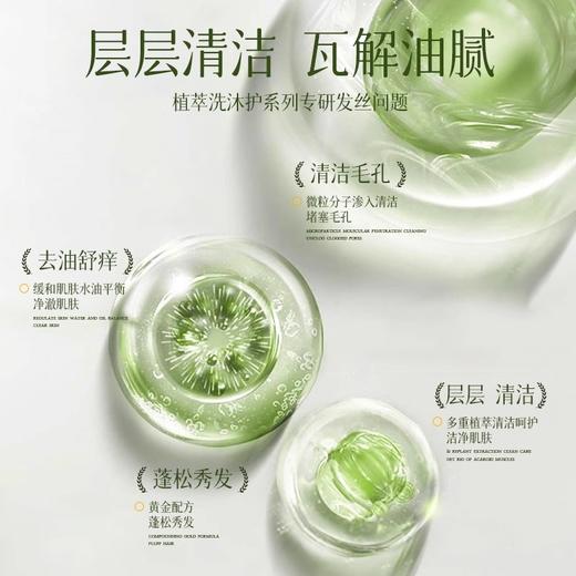 500ml洗发水宾馆酒店居家家庭装大桶浓香洗发膏护发素沐浴露300ml 商品图3