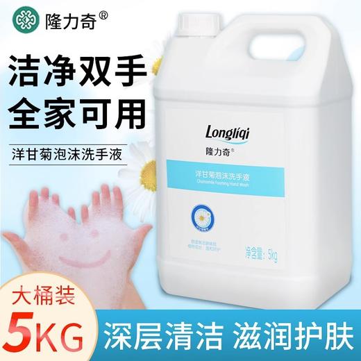 隆力奇洋甘菊洗手液泡沫型按压瓶装家用儿童幼儿园专用清洁补充装 商品图2