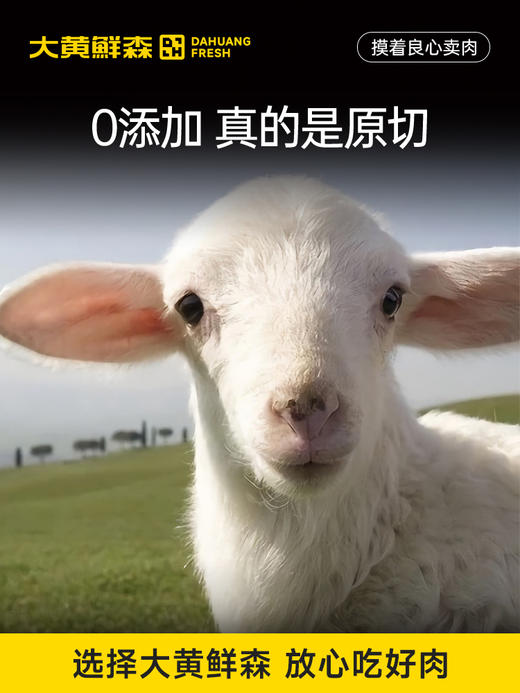 【大黄鲜森】肉卷系列组合 商品图6