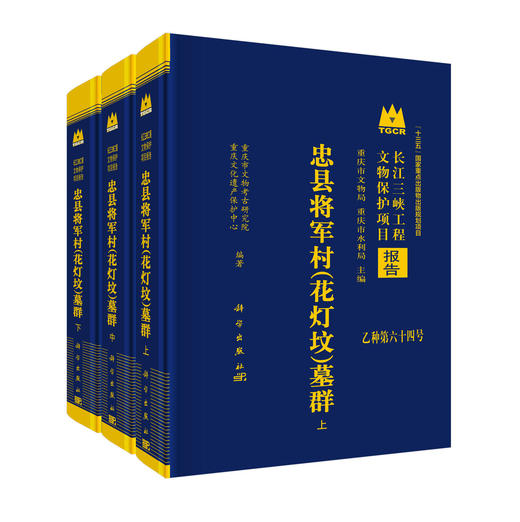 忠县将军村（花灯坟）墓群（全三册） 商品图0