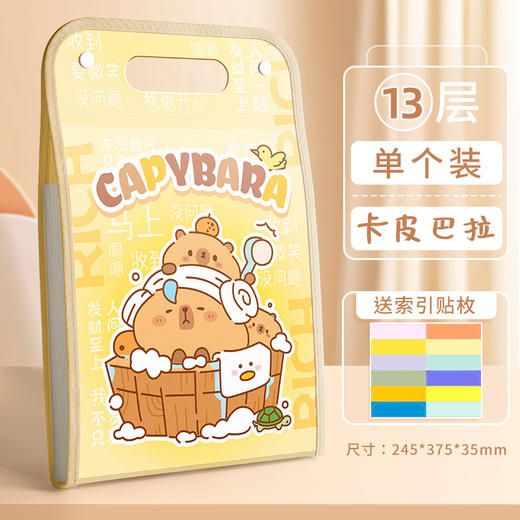【送索引贴❗️A4竖式手提风琴包】13层大容量收纳，标签分类快速查找，双暗扣固定，防水防污，竖式收纳袋小学生试卷夹大容量文件夹QQ 商品图4