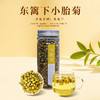 【特惠29.9】东篱下小胎菊70g-（效期至26年5月8日）-专享价 商品缩略图0