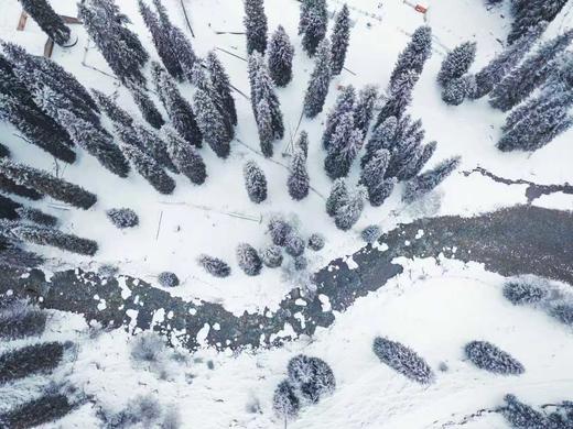 新疆冬日伊犁【雪漫天山】6天5晚 商品图3