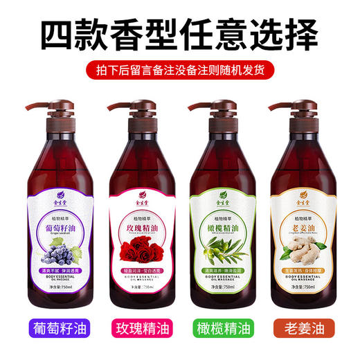 精油按摩全身通经络推开背部刮痧肩颈免洗spa美容院专用厂家批发 商品图1