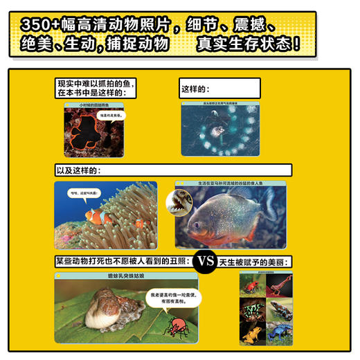 《谢耳朵漫画·动物大爆炸》全5册 商品图5