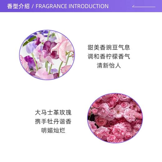 Dior 迪奥 小姐花漾甜心淡香水 100ml 商品图1