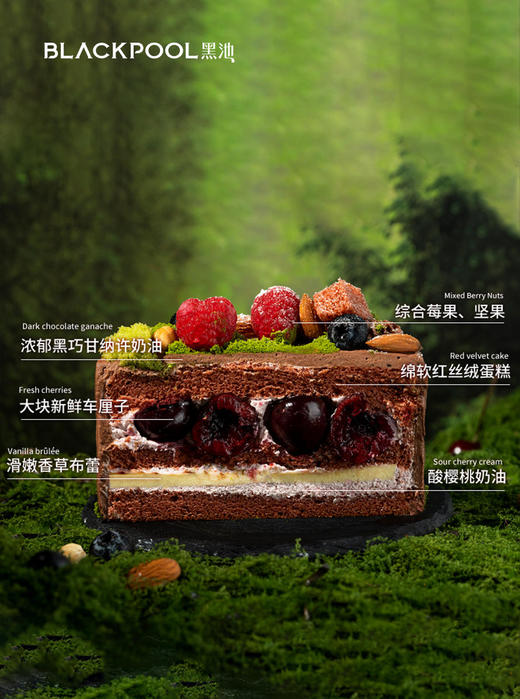 （小分队专属）漫野· 香草布蕾红丝绒软忌廉 | 黑池 商品图5