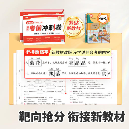 【斗半匠】人教版1-6年级语数英期末考前冲刺卷复习冲刺卷 商品图4