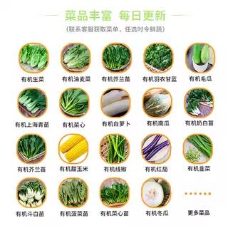东升农场 有机蔬菜套餐 3斤装 商品图3