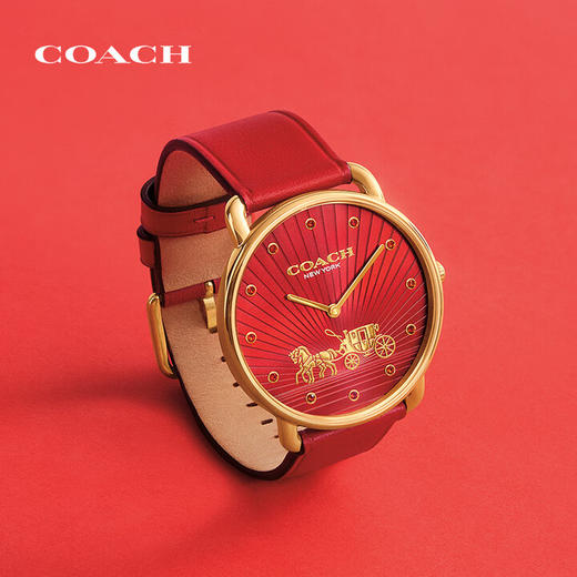 蔻驰COACH马年限定腕表 商品图0