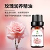 玫瑰精油香薰养生SPA会所足浴足疗按摩精油小瓶装精油开背1件批发 商品缩略图0