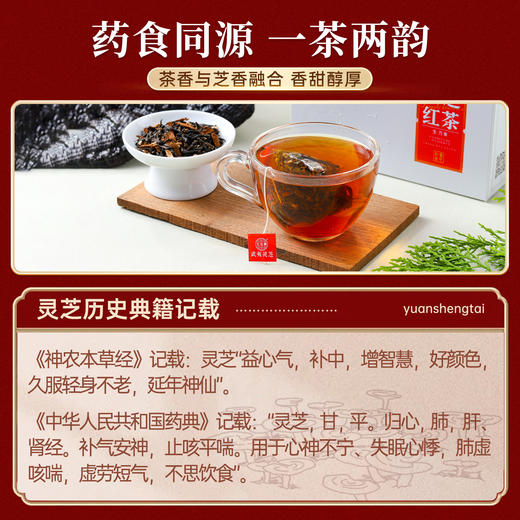 元生泰 灵芝红茶3.6g*10袋/盒 灵芝袋泡茶包 武夷灵芝正山小种红茶 科学配比 商品图3