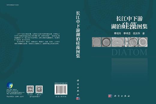 长江中下游湖泊硅藻图集 商品图3