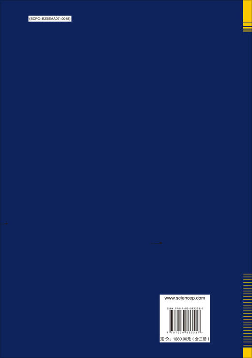 忠县将军村（花灯坟）墓群（全三册） 商品图1