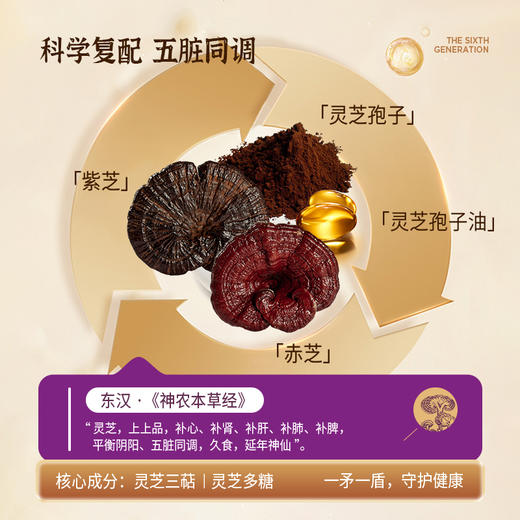 【官芝堂】双灵芝原浆（210ml（30ml*7袋）） 商品图3