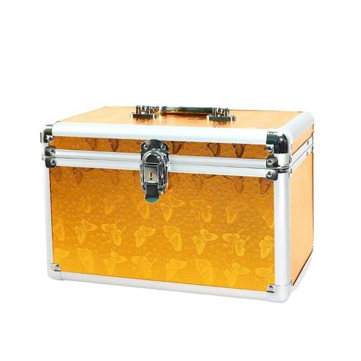 足浴工具箱技师手提足疗上钟采耳收纳盒美容美甲师美睫嫁接睫毛箱 商品图2